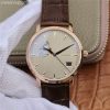 Excellence Panorama Date Moon Phase RG ETCF Gray Dial Brown Leather Strap A100